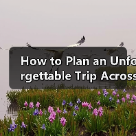 How to Plan an Unforgettable Trip Across China Without Overwhelm? A Step-by-Step Destination Travel Guide(图3) How to Plan an Unforgettable Trip Across China Without Overwhelm? A Step-by-Step Destination Travel Guide(图3)